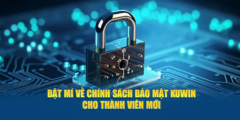 chính sách bảo mật kuwin