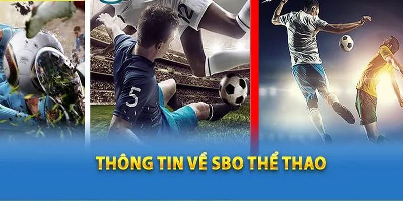 Sảnh cược SBO đáp ứng nhu cầu mọi thành viên tại Kuwin